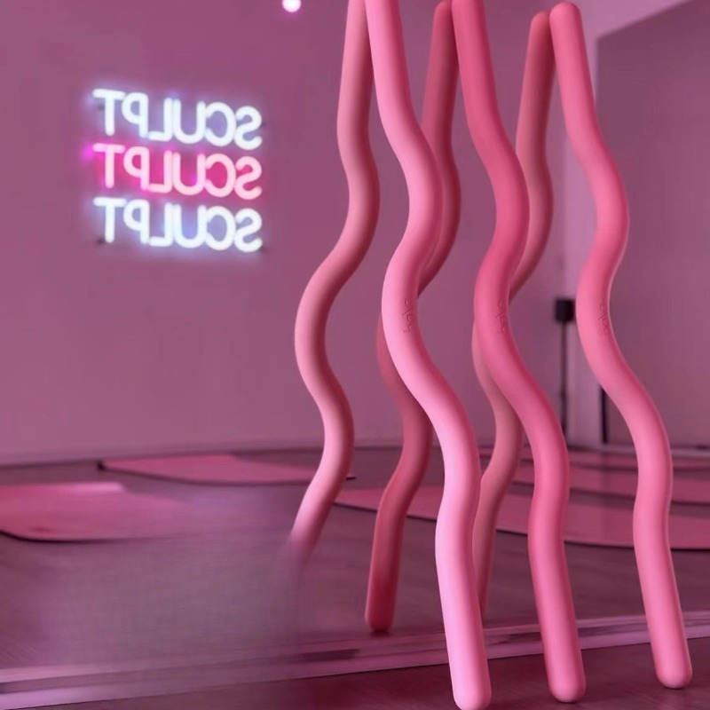Barre de Pilates lestée avec r - Yoga Fitness Bar avis et prix